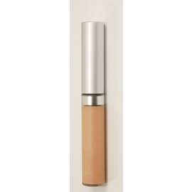 Eyes Sand Wise Disguise Concealer