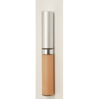 Eyes Sand Wise Disguise Concealer