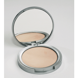 Powder Shine Control Blotting Powder Compact