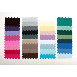 Carol Thompson Cosmetics Summer Swatch Book