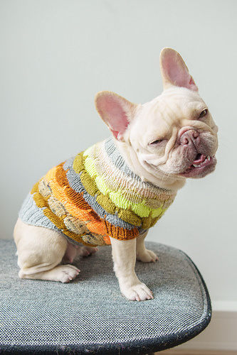 West Knits Bubble Pup Sweater Kit