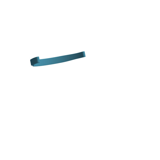 Fisher & Paykel Evora Nasal Mask