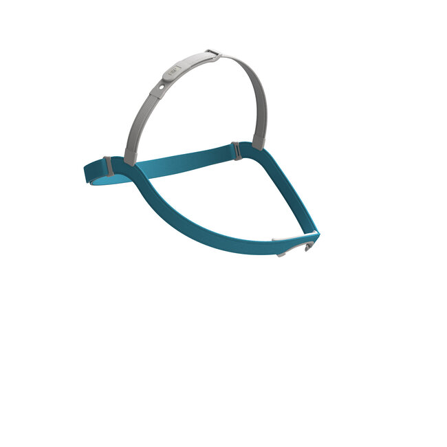 Fisher & Paykel Evora Nasal Mask