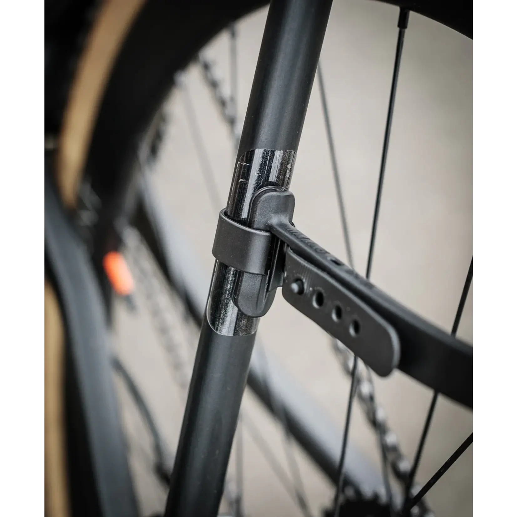 Ass Savers Ass Savers, Win Wing Gravel