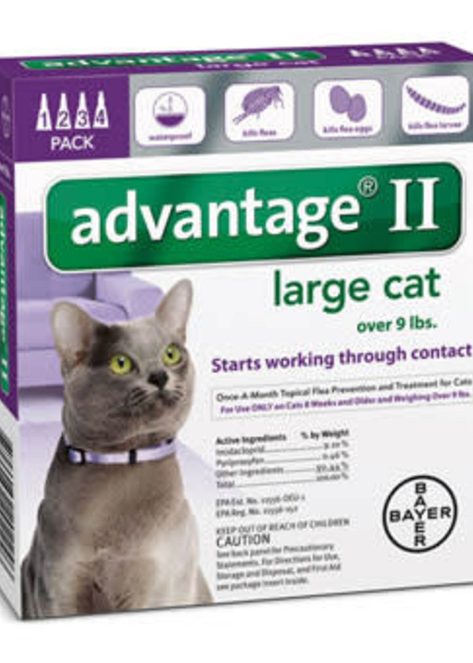 advantage ii flea treatment for large cats over 9 lbs