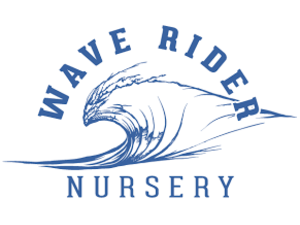 Wave Rider