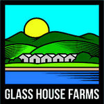 Glass House / Golden Gas