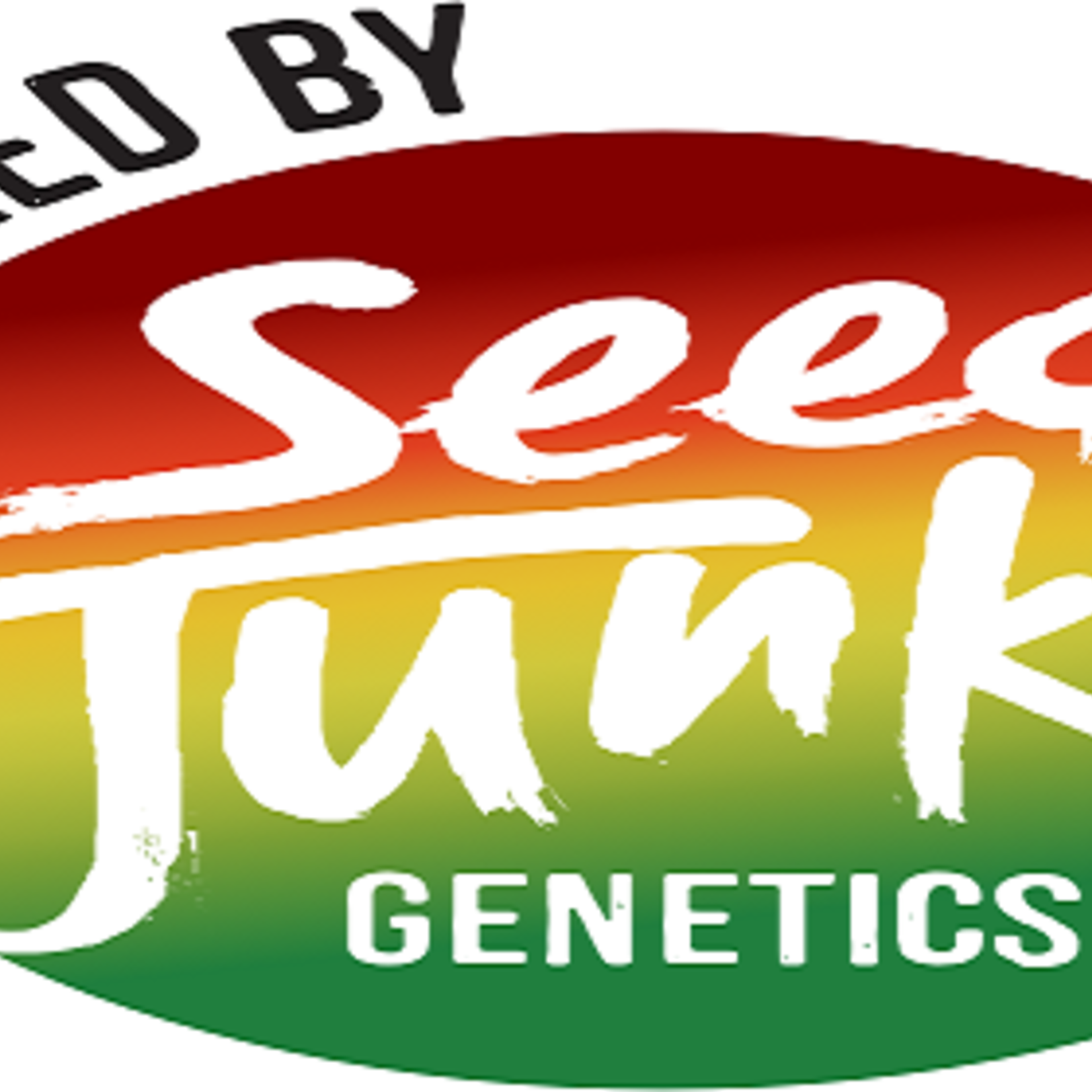 seed junky Seed Junky - London Cookies