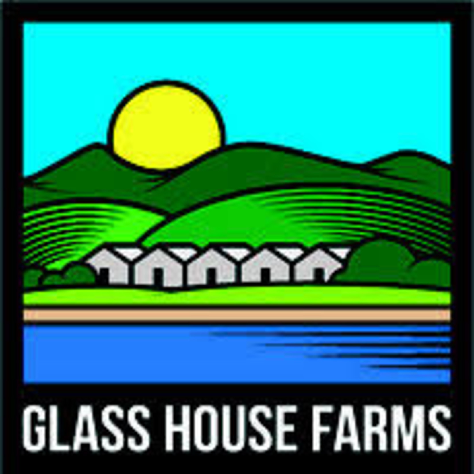 Glass house / Glaciers #11