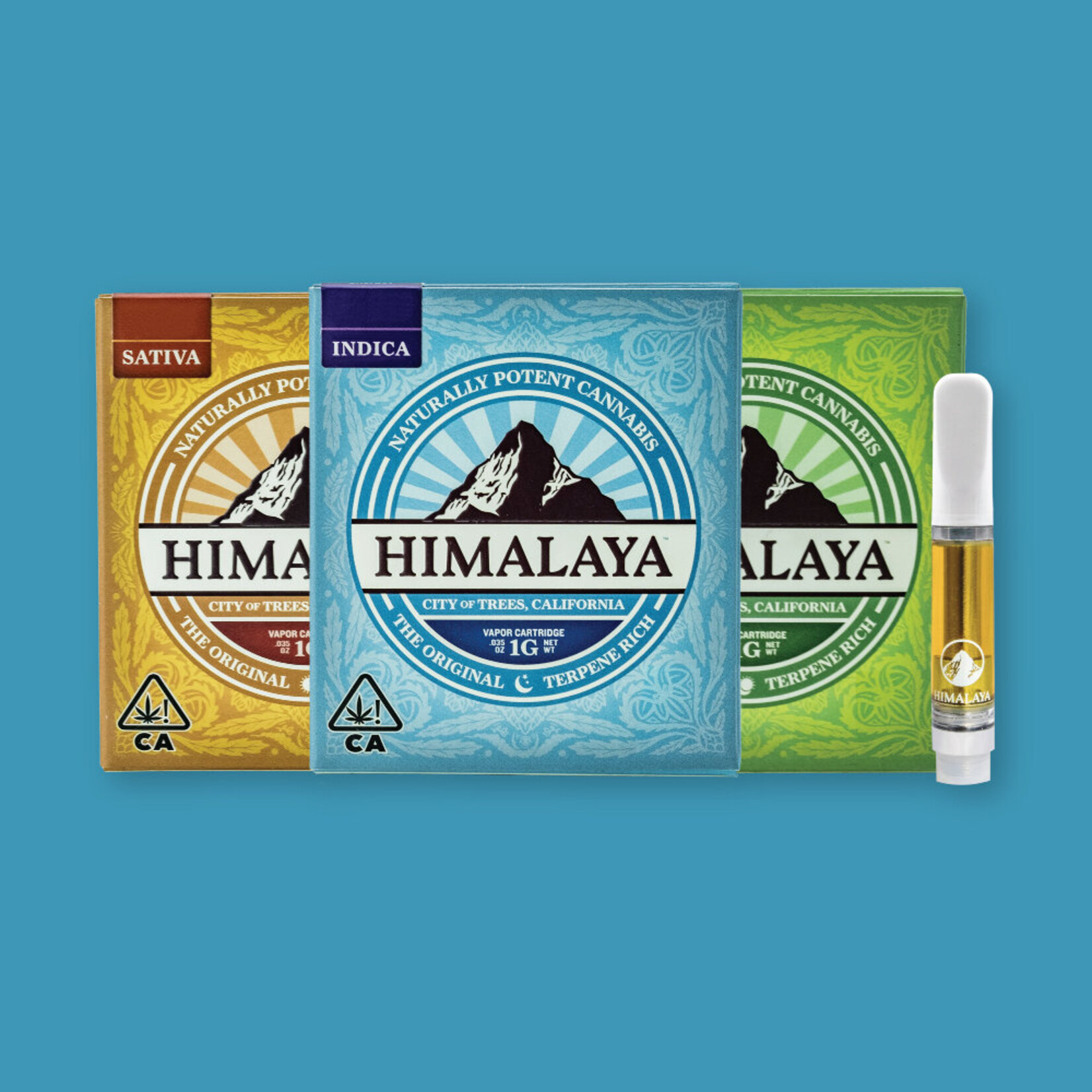 Himalaya / Pineapple Jack