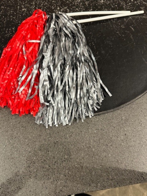 Spirit Item St. John's Pom Poms  Set 1 red, 1 gray