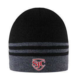 Winter Wear 6051 Crew Varsity Stripe Beanie