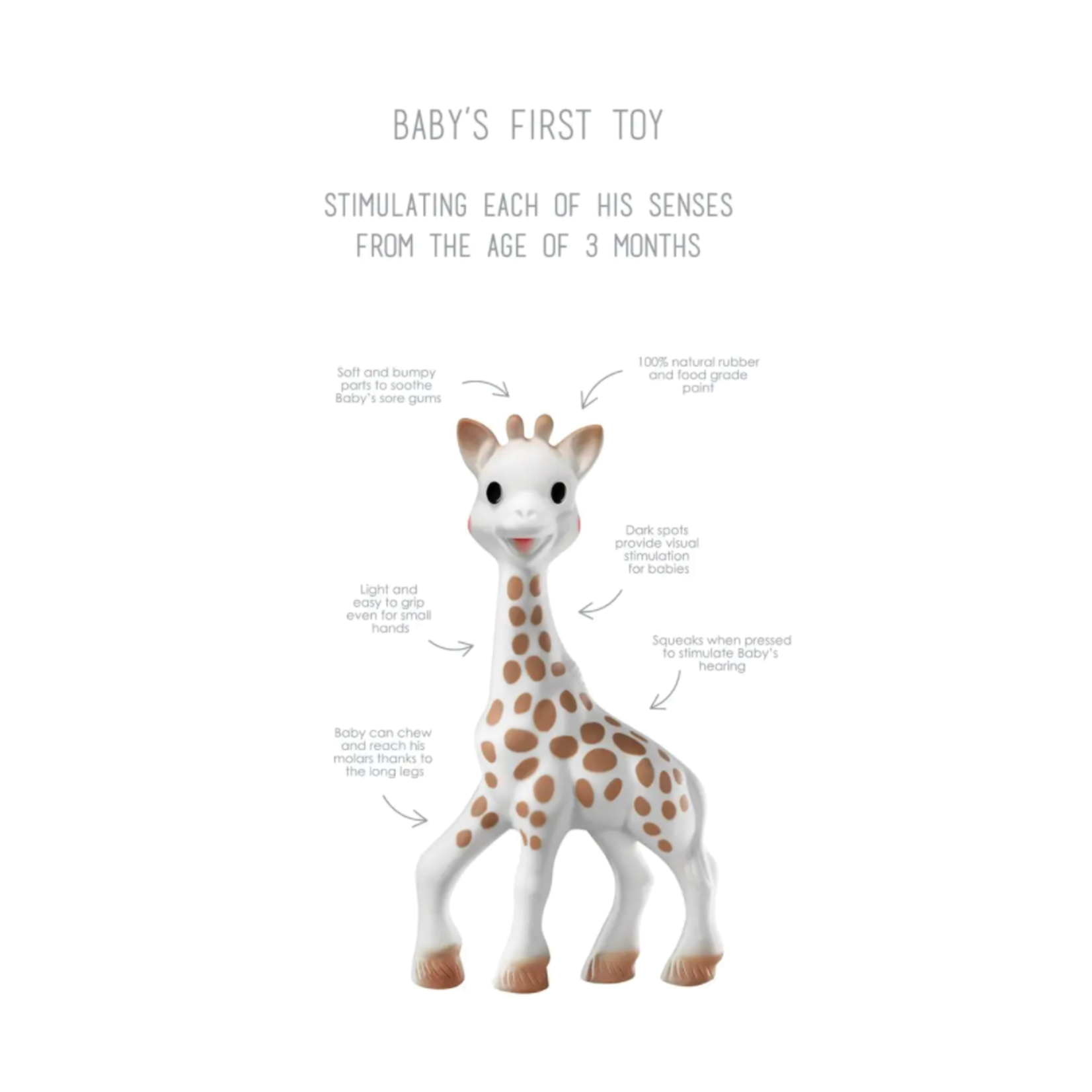 Sophie Sophie la Girafe, White Box