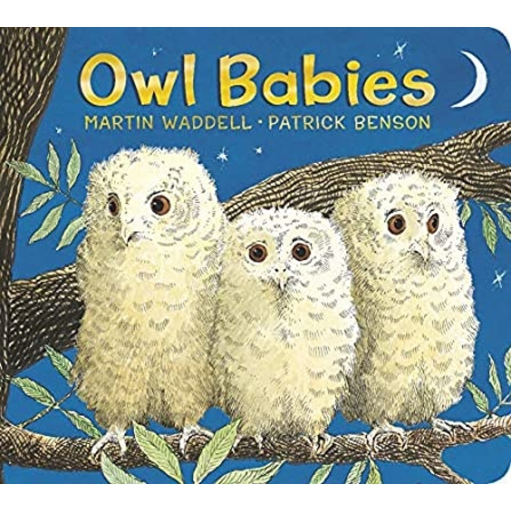 Random House Owl Babies Board Book