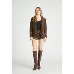 Driftwood Chocolate Suede Studded Shorts