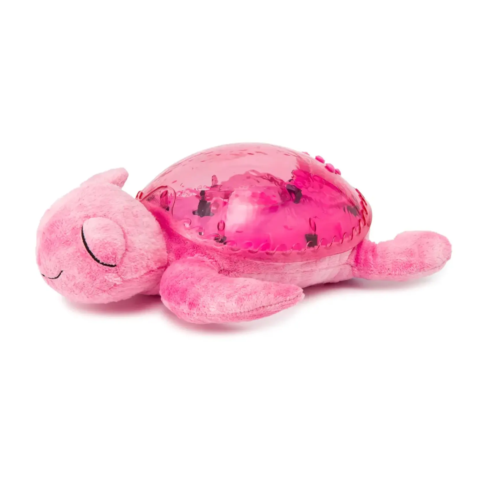 Cloud B Tranquil Turtle