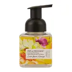 European Soap Le Jardin 250ML Foaming Soap