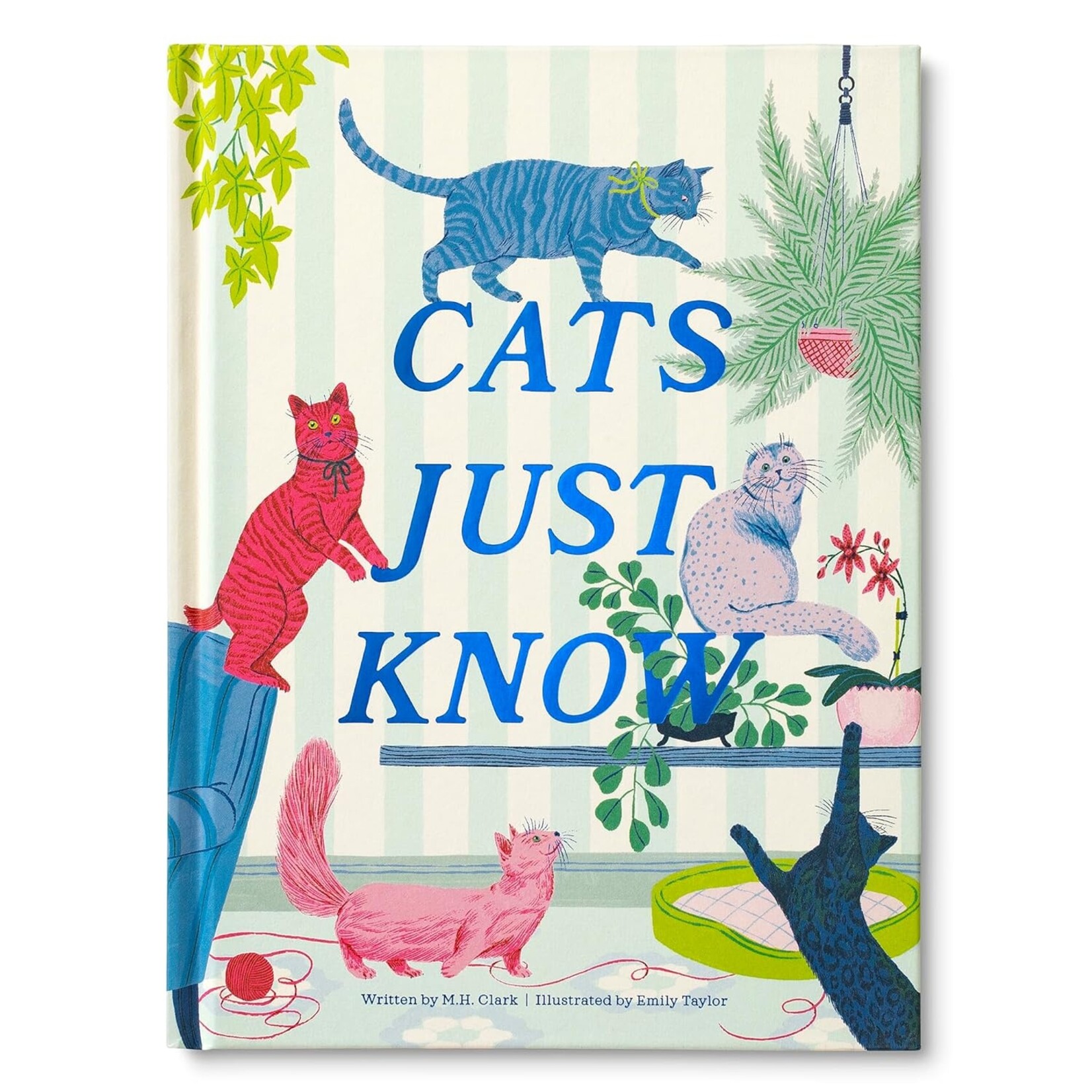 Compendium Cats Just Know