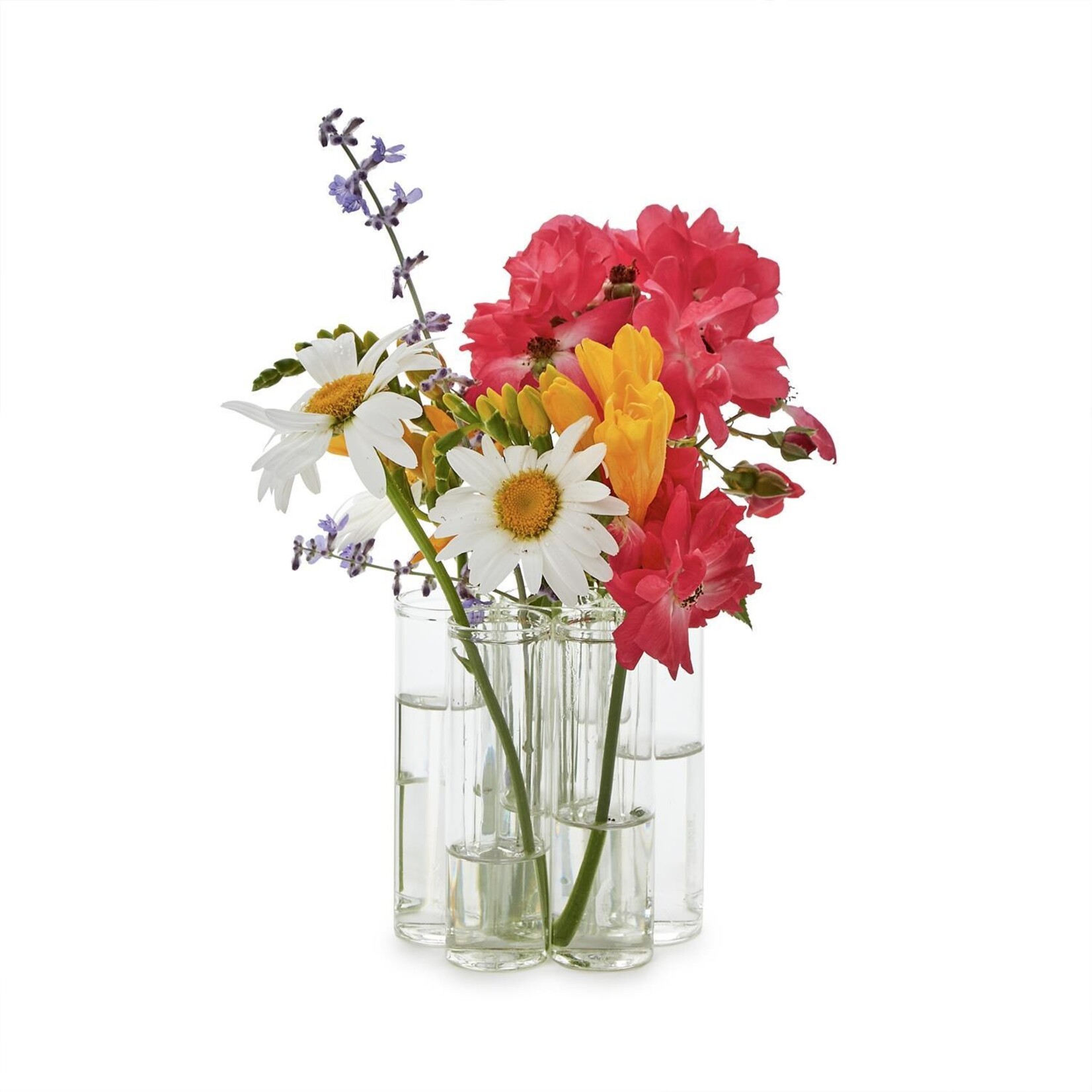 Two's Company Set of 7 Connected Tube Vase in Gift Box
