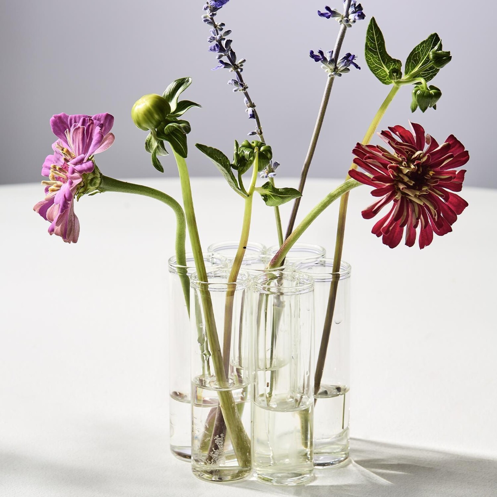 Two's Company Set of 7 Connected Tube Vase in Gift Box