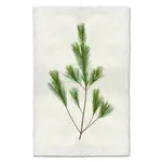 Barloga Studios Pine Bough Nepalese Handmade Paper