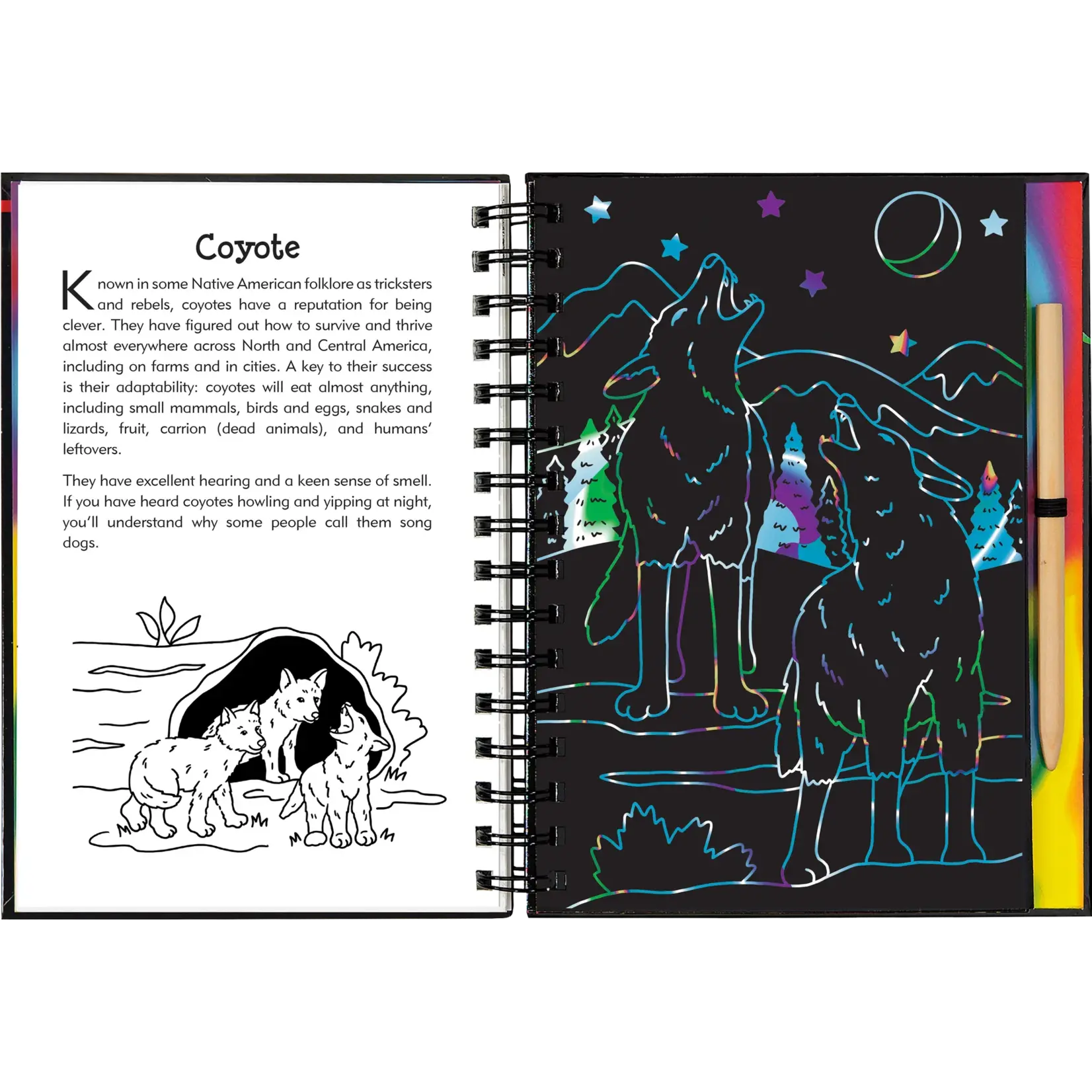 Peter Pauper Press Scratch & Sketch Nocturnal Animals