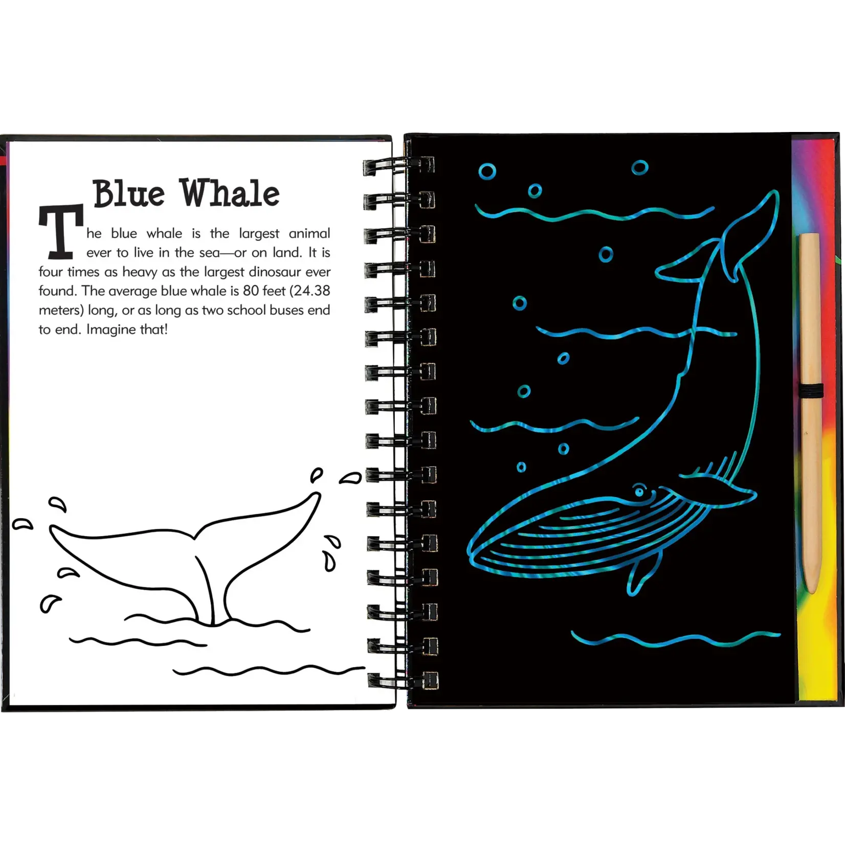 Peter Pauper Press Scratch & Sketch Under the Sea