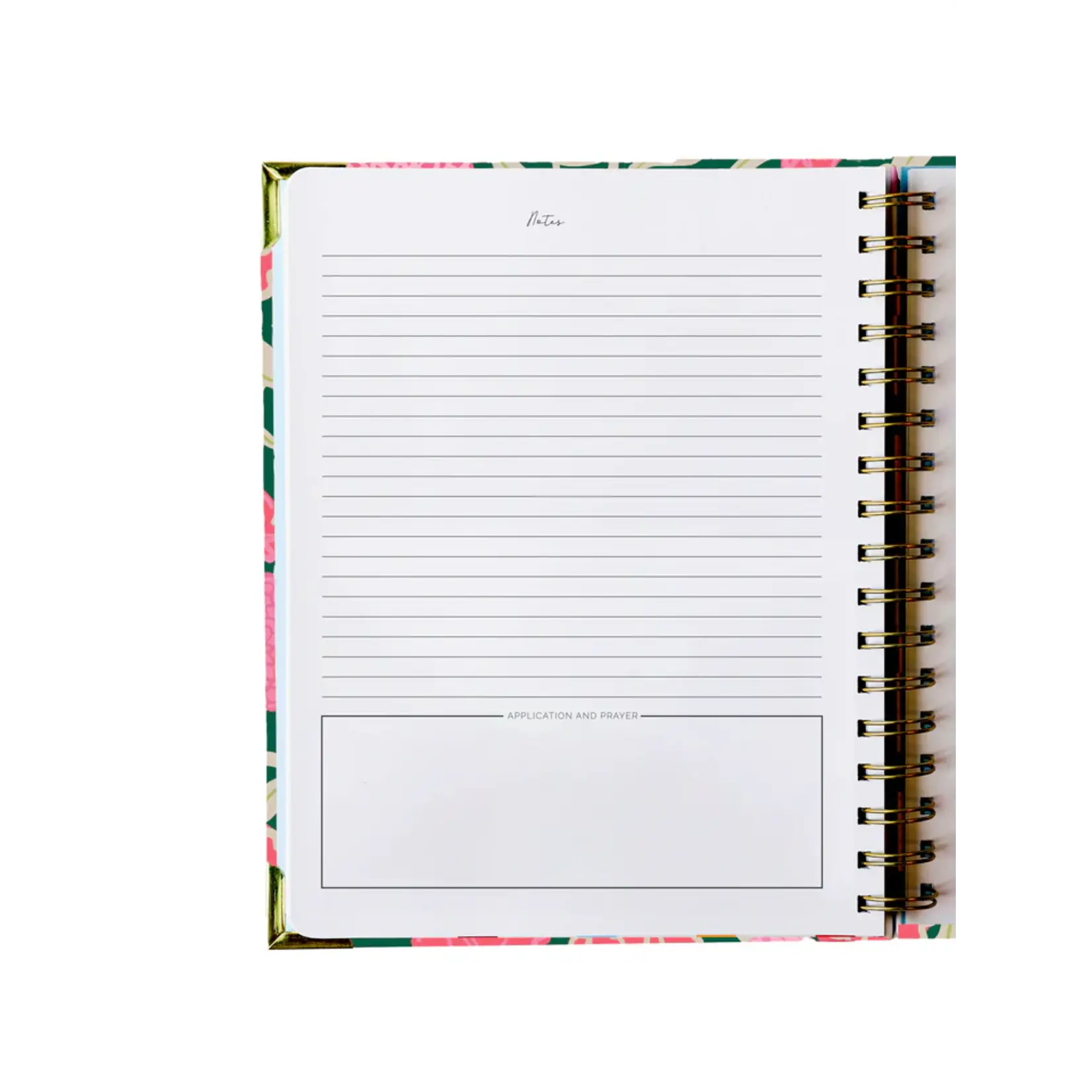 Mary Square Sermon Notes Fresh Start