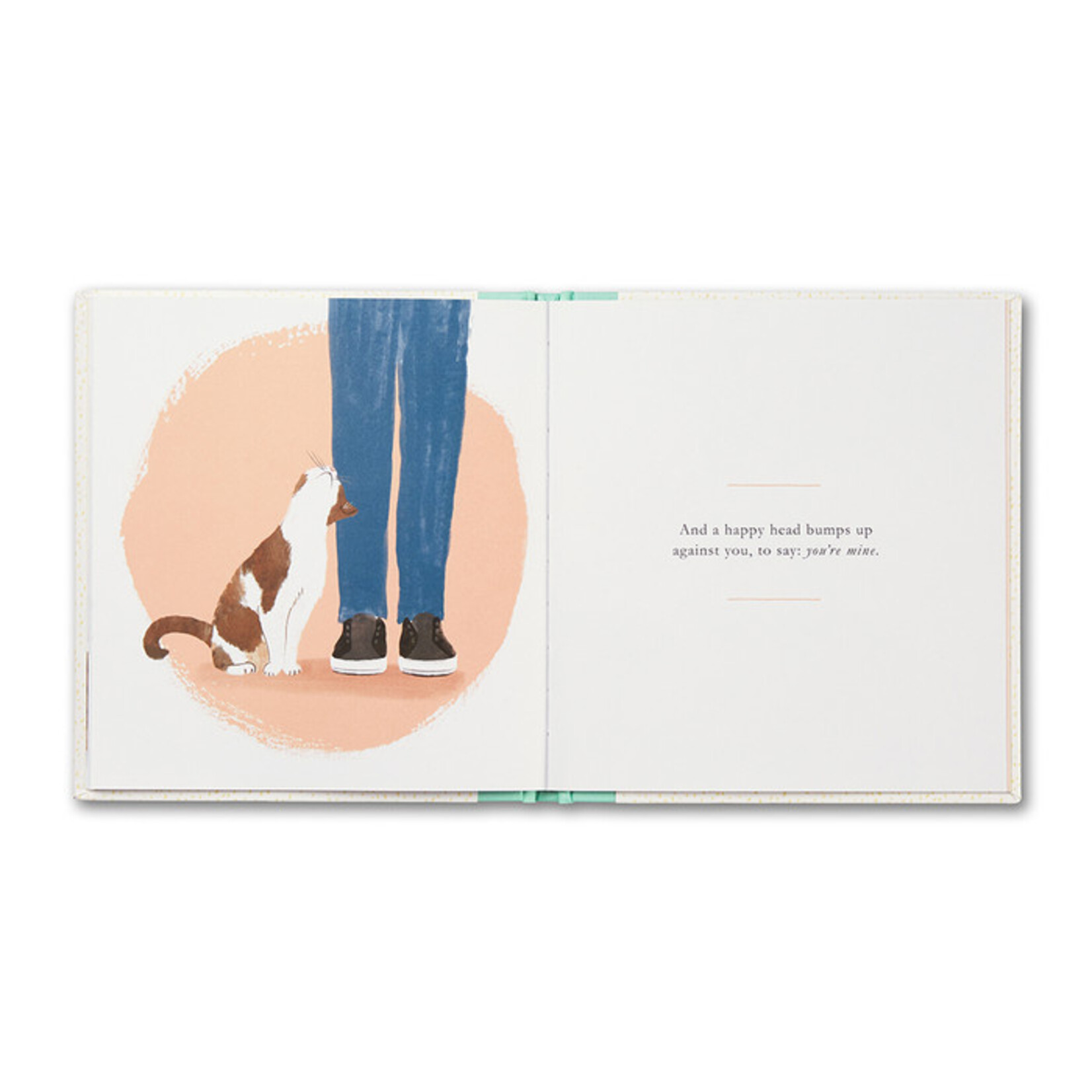 Compendium When You Love a Cat