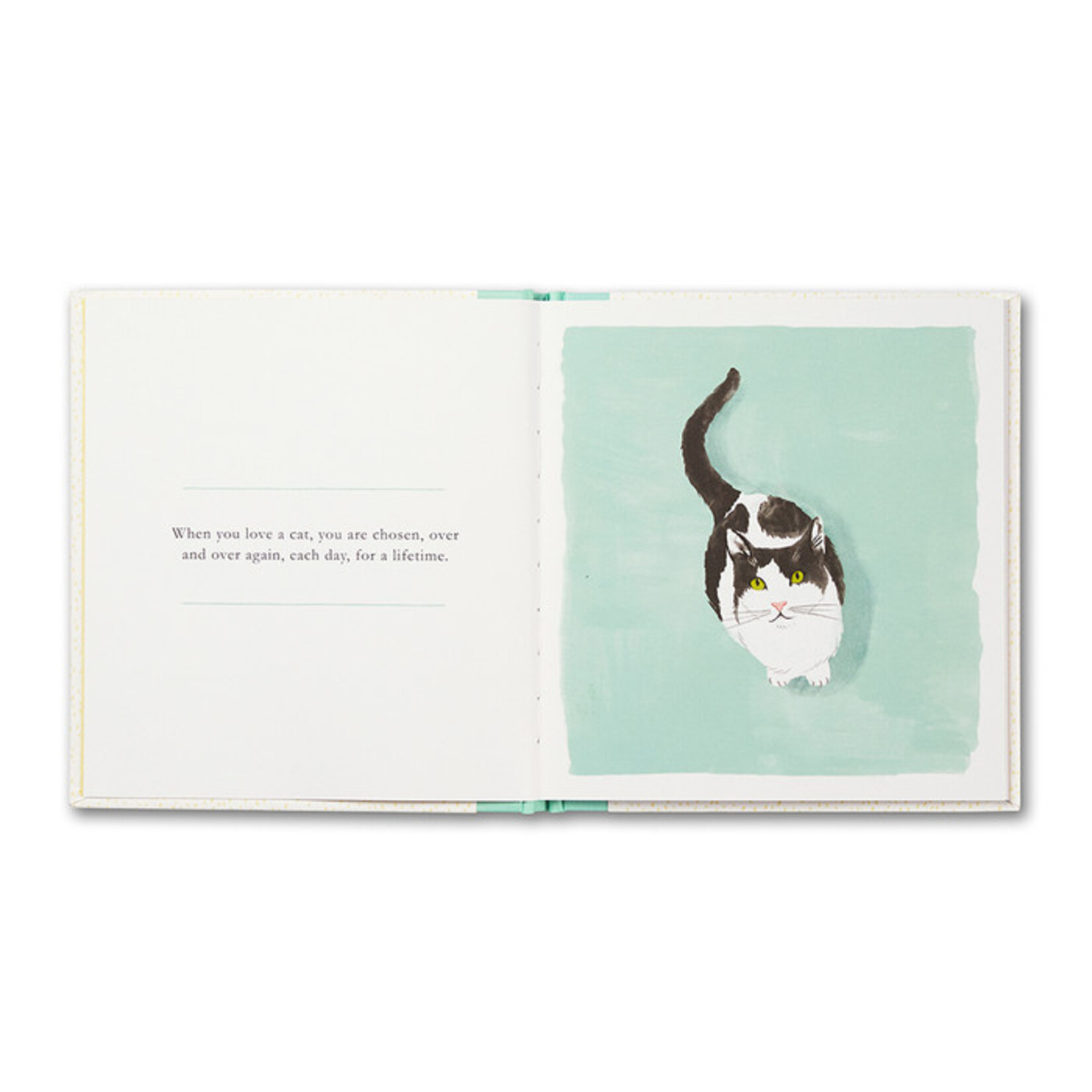 Compendium When You Love a Cat