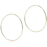 enewton Endless Gold 2" Hoop