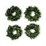 Two's Company Set of 4 Preserved Boxwood Wreath Napkin Rings