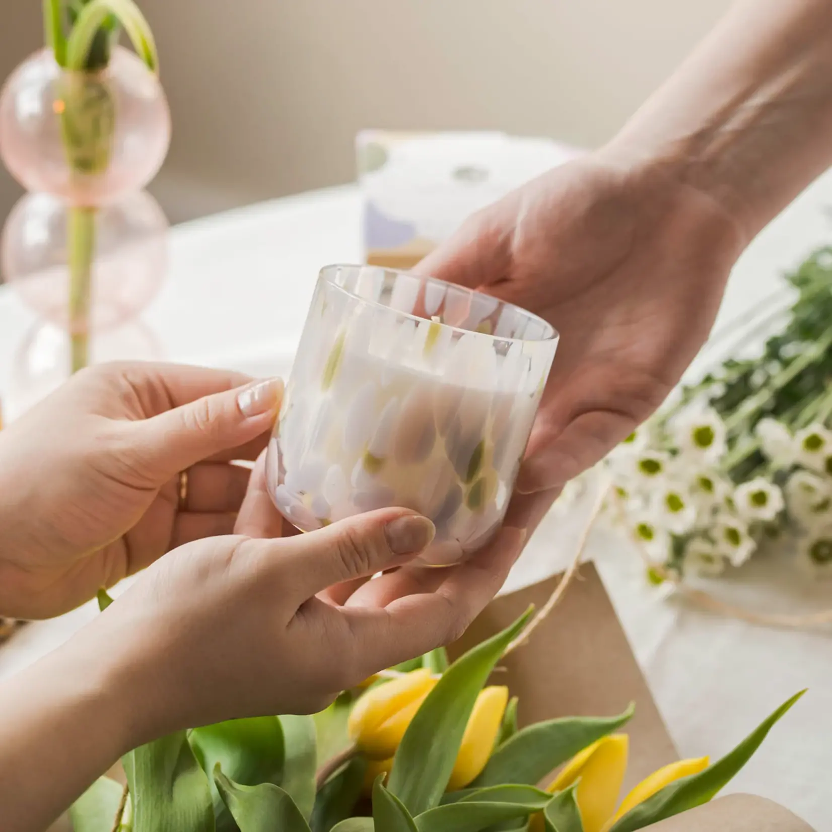 Northern Lights Celebration-You Deserve Flowers!