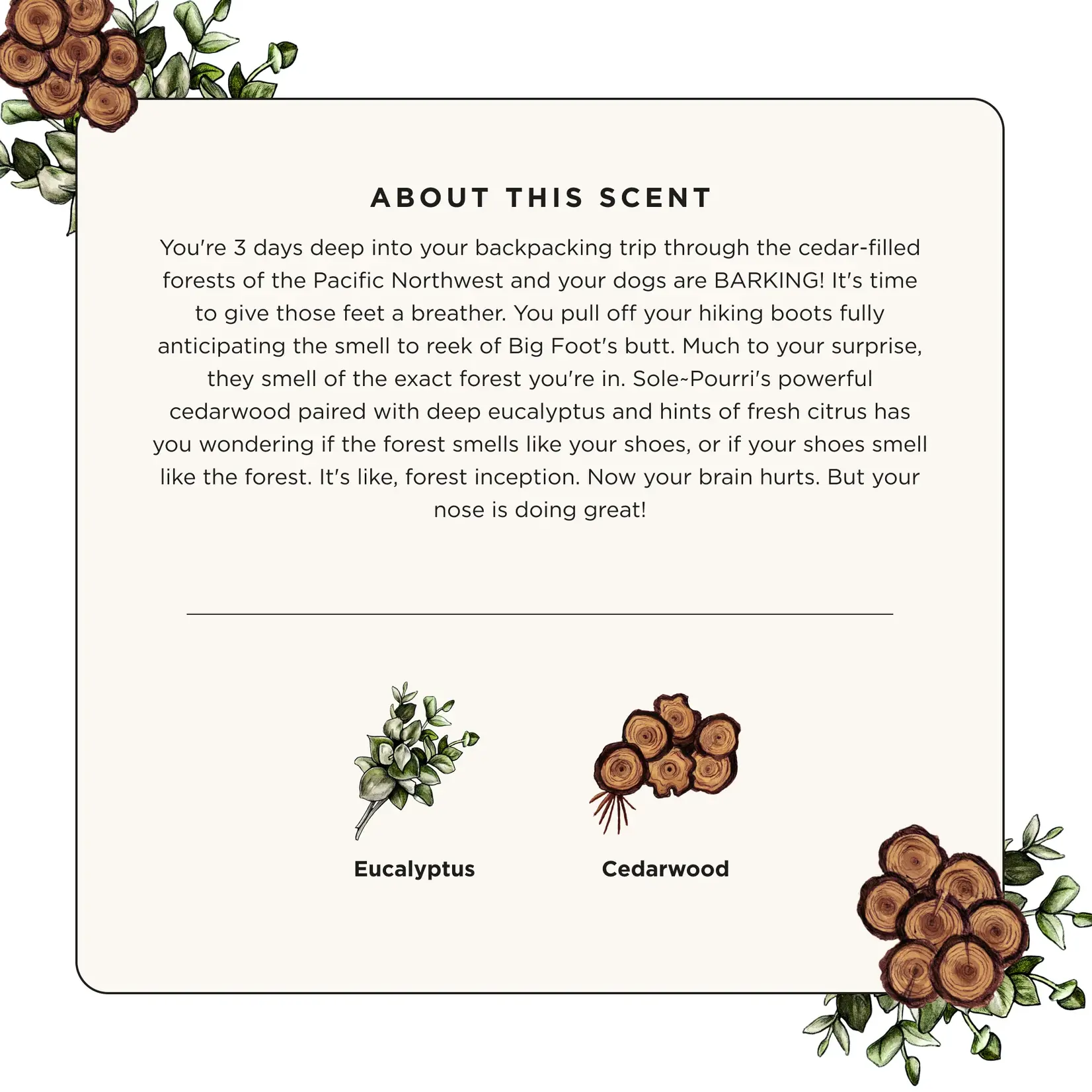 Poo-Pourri Sole~Pourri Cedarwood Eucalyptus 3.4oz