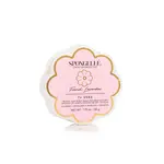 Spongelle Daisy Collection Spongette French Lavender