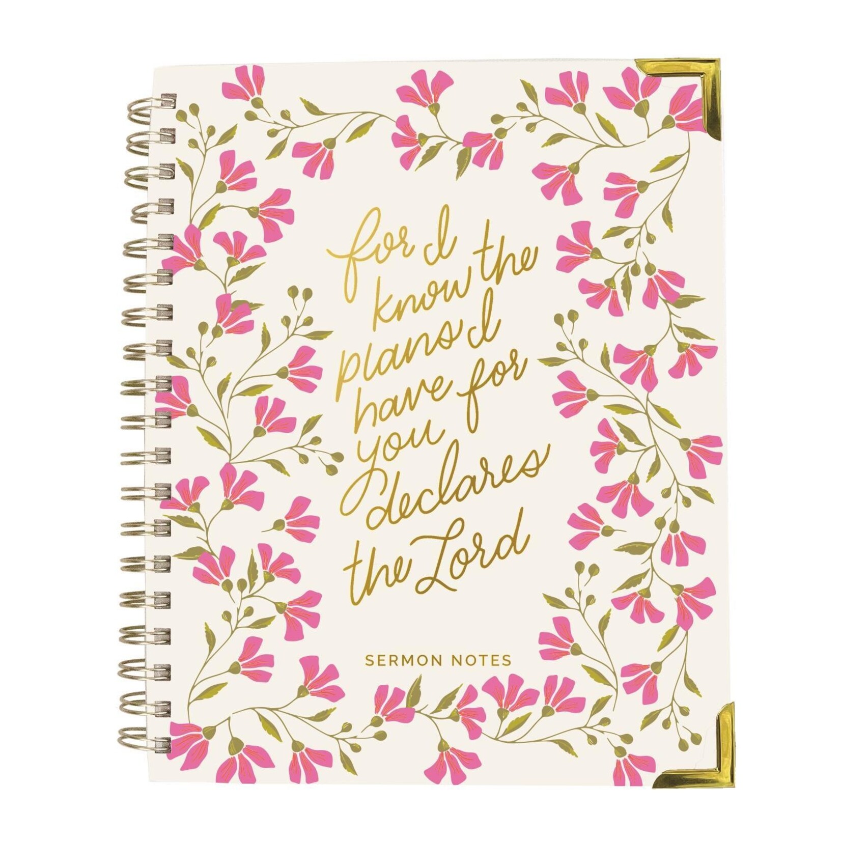 Mary Square Sermon Notes For I Know the Plans