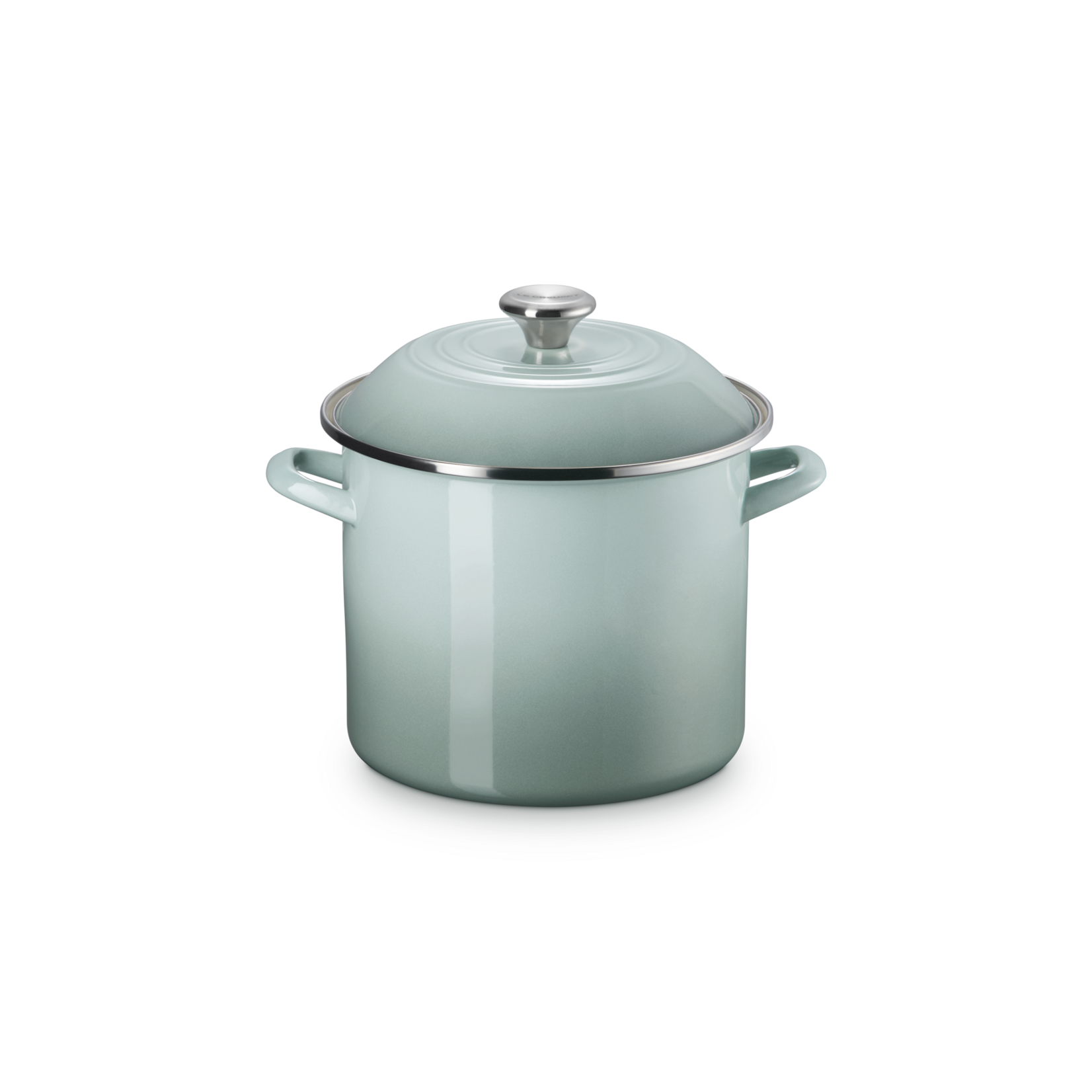 Le Creuset 10 QT Stockpot