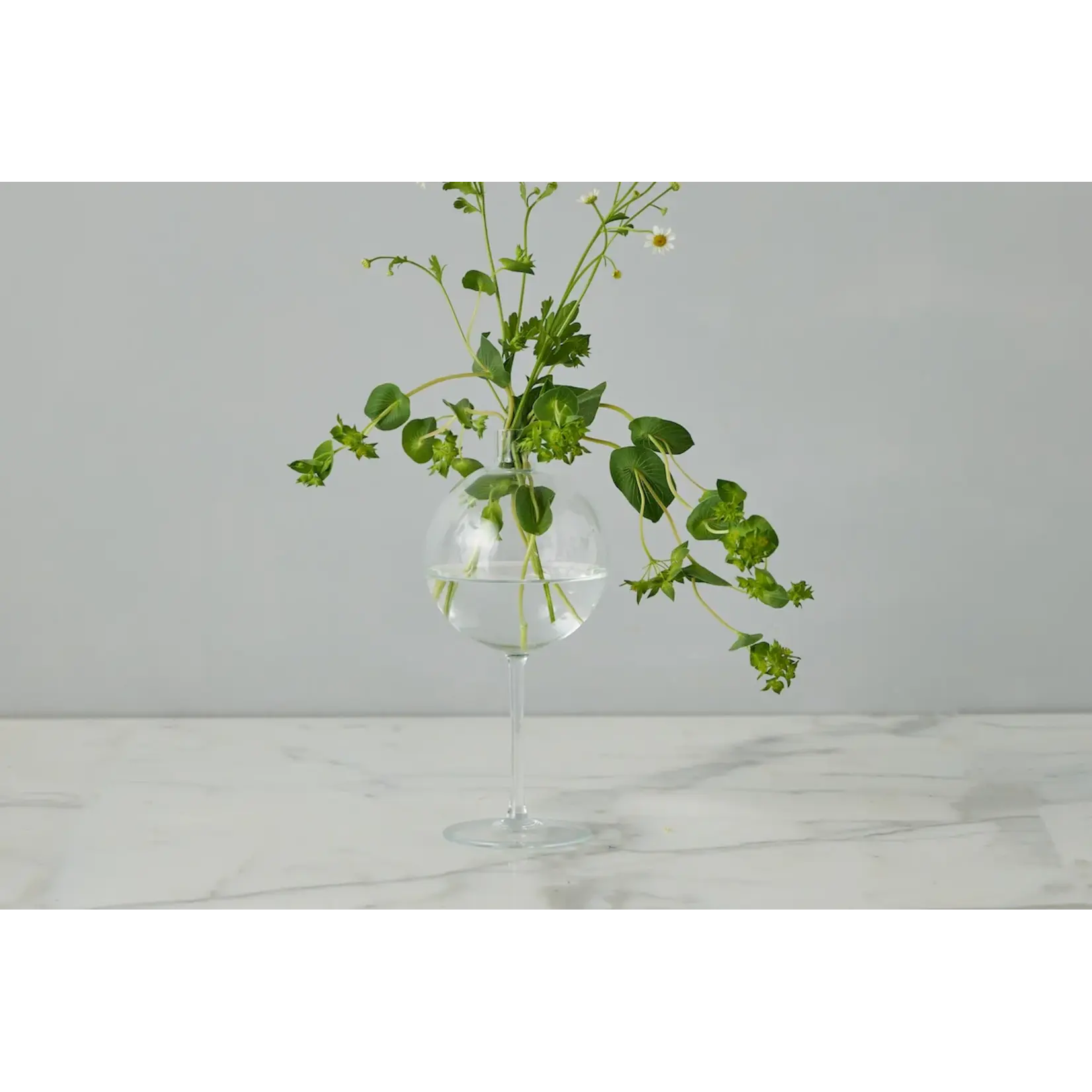Etu Home Clear Wine Glass Shaped Flower Vase, Medium