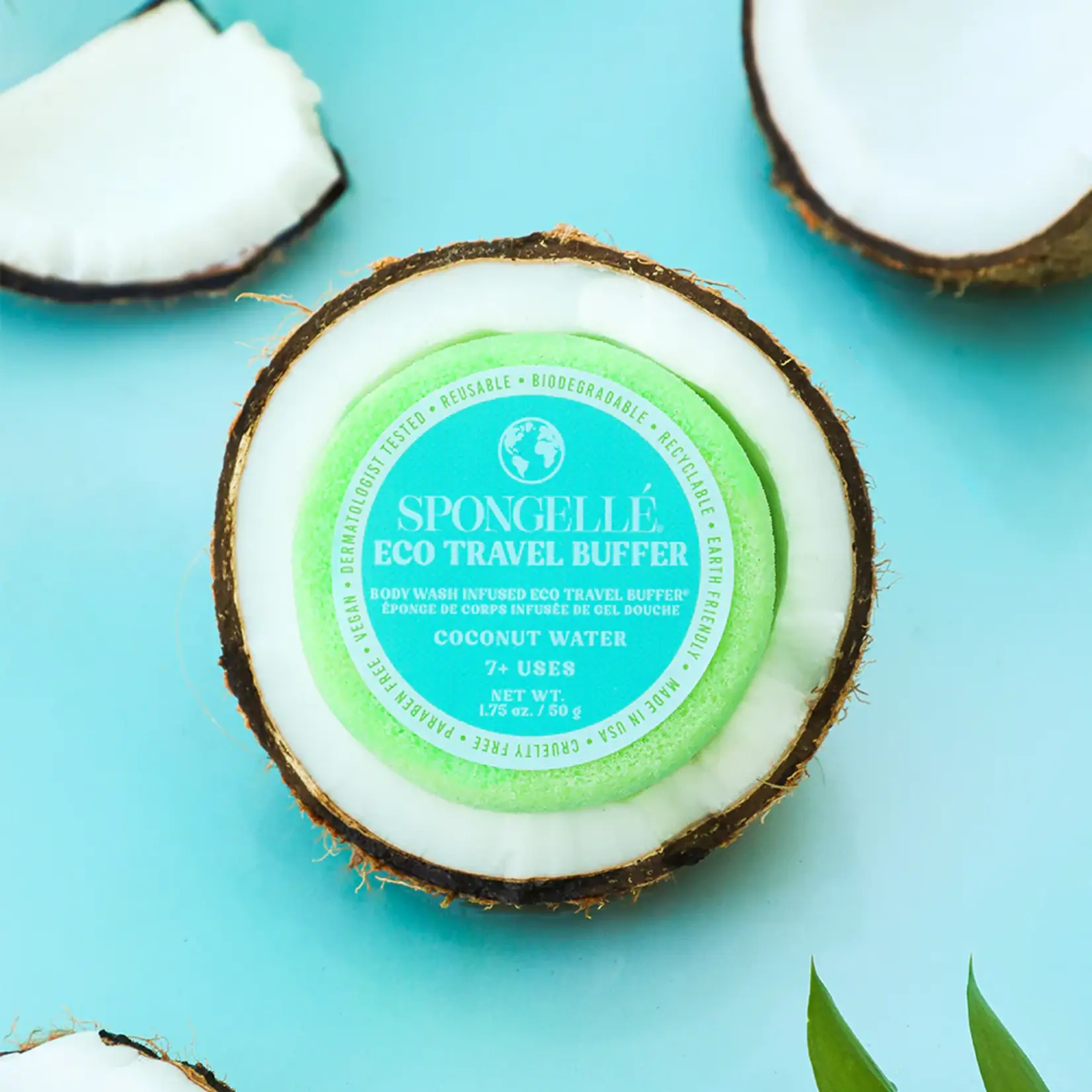 Spongelle Eco Spongette Coconut Water