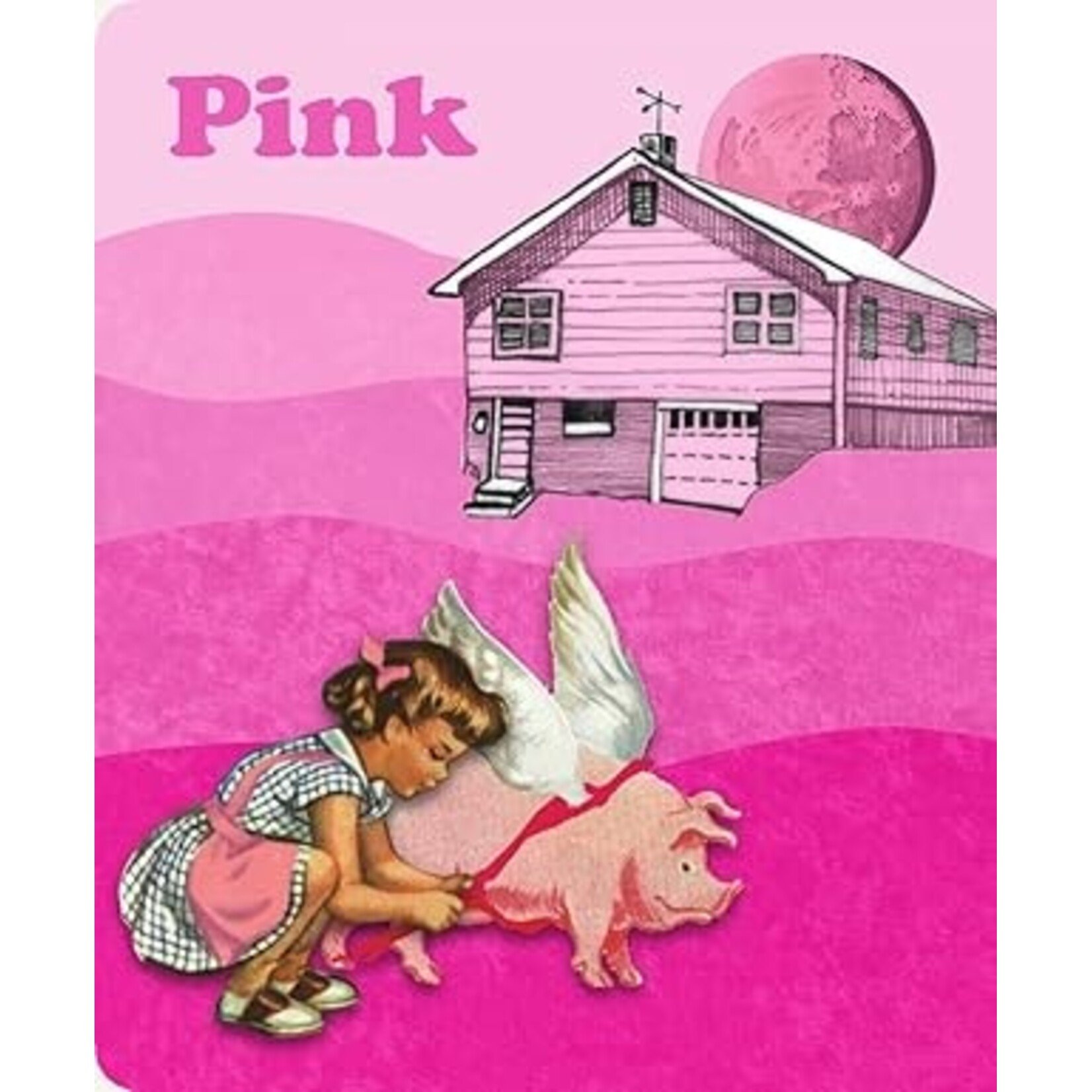 Laughing Elephant Books Any Color You Like: Intro to Colors:L Children's Board Book