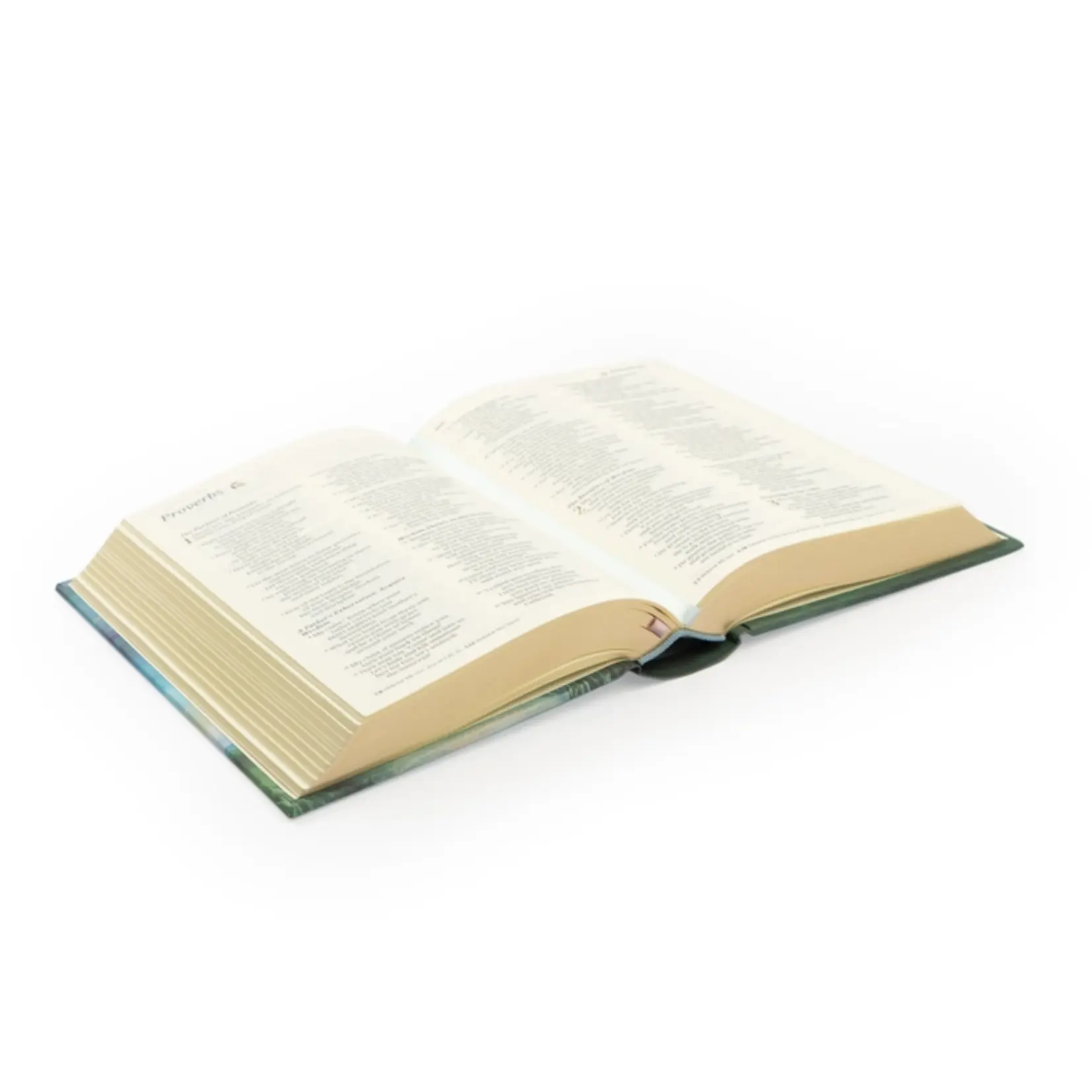 Hosanna Revival NLT Compact Bible: Prairie