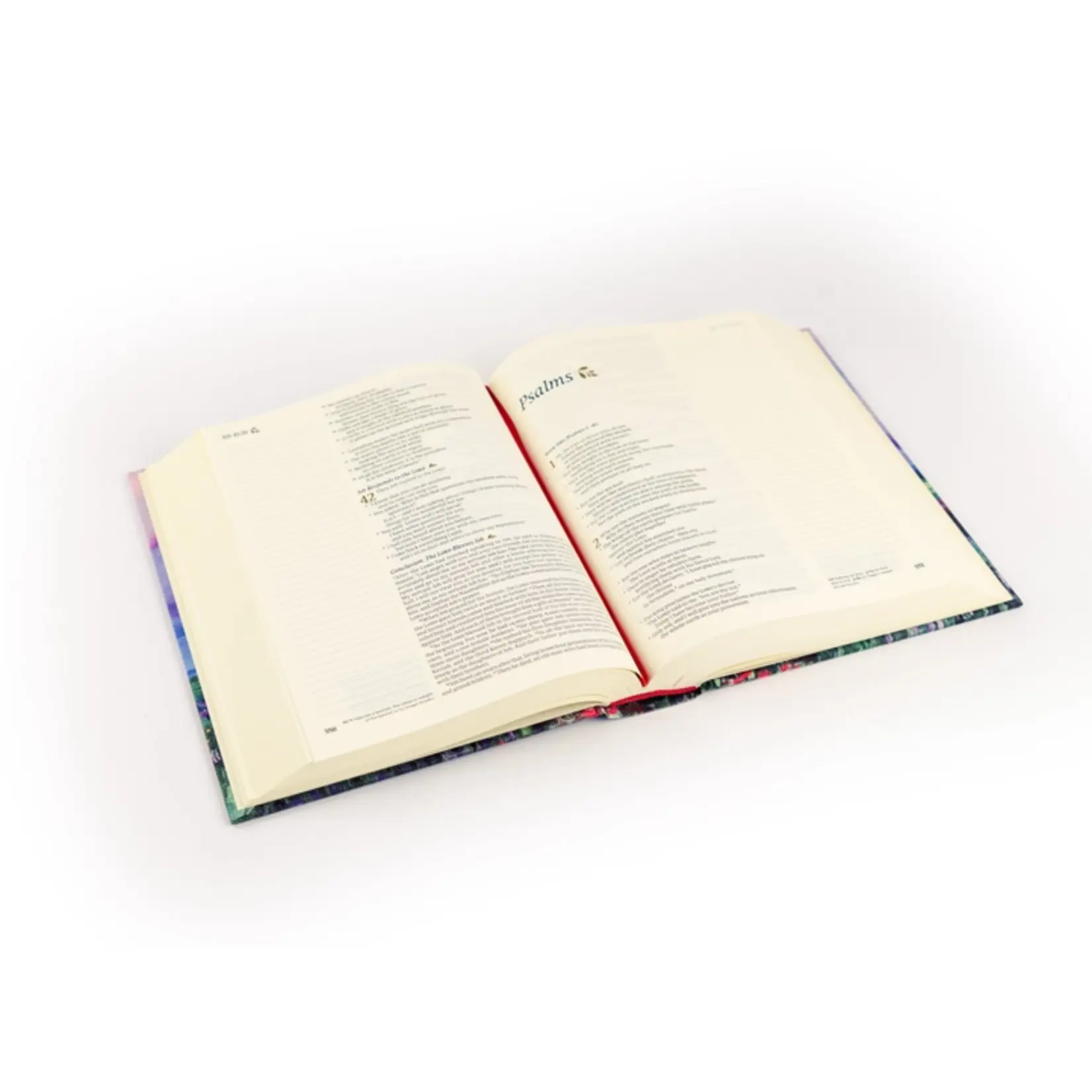 Hosanna Revival NLT Notetaking Bible: Cana