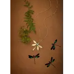 Trollbinde Dawn of the Dragonflies Amulet