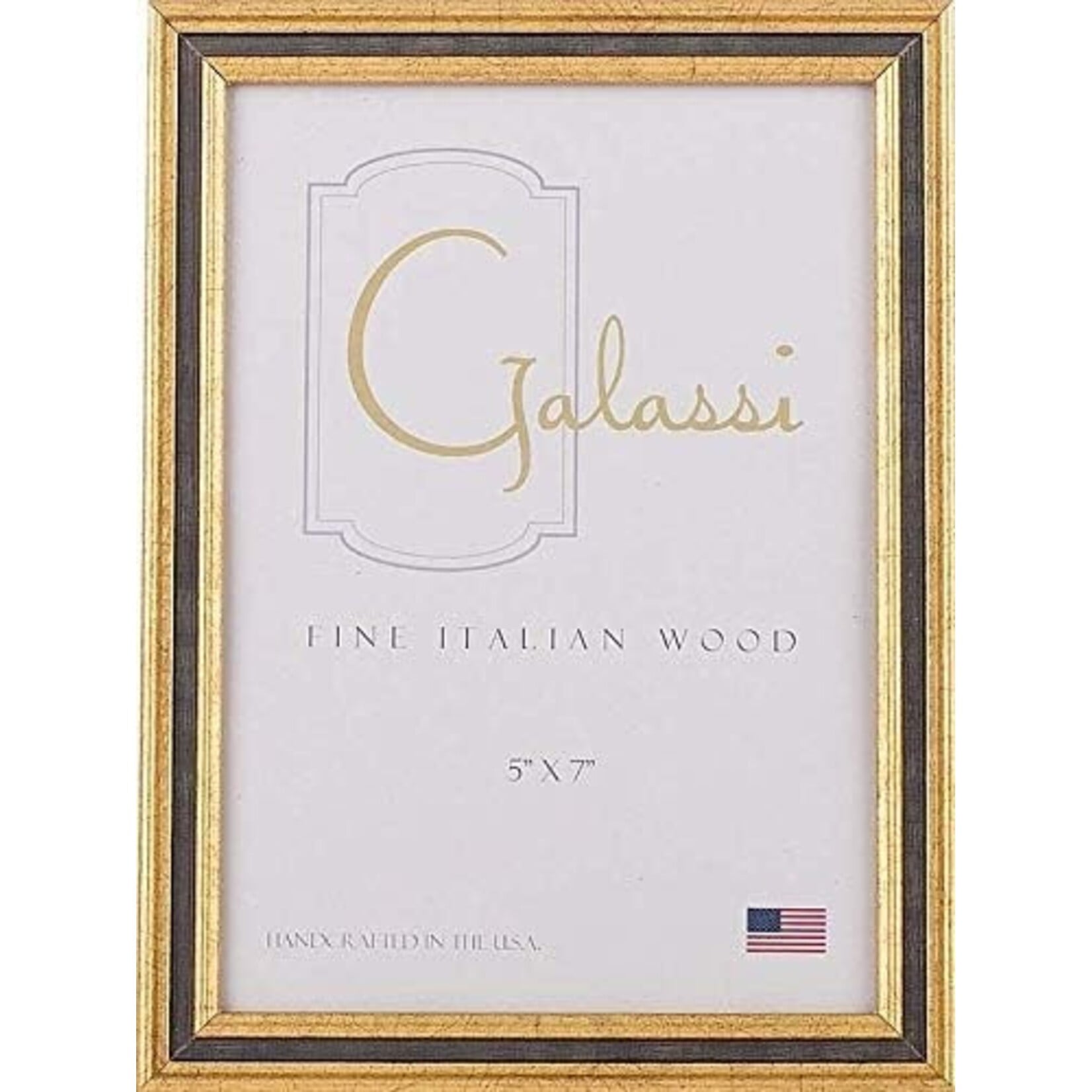 Galassi Gold Frame w/ Black Channel 5x7