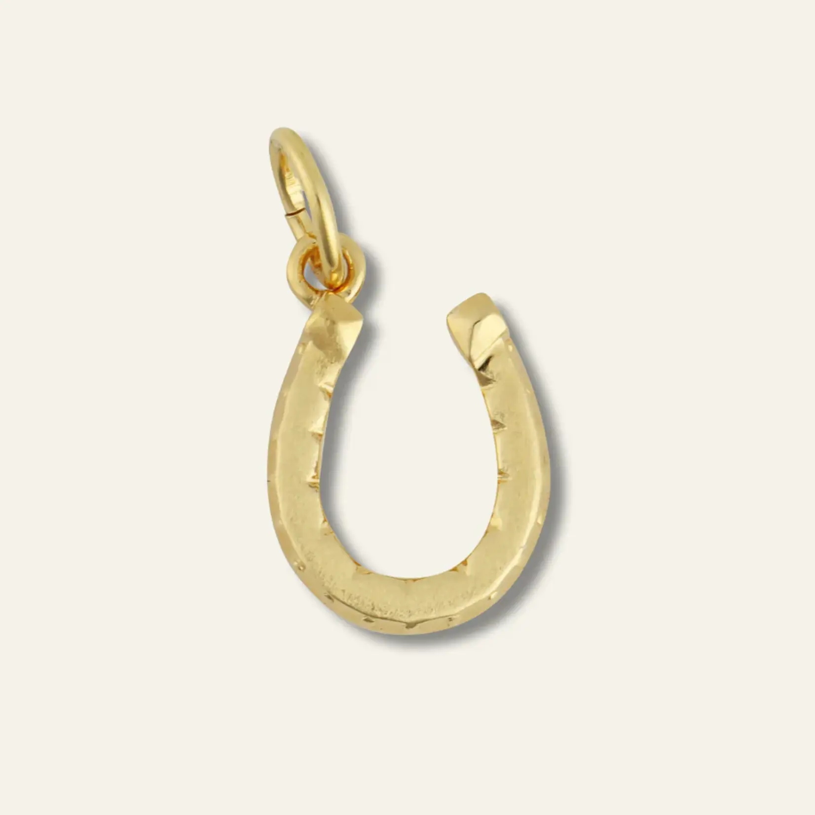 Hart The Dainty Necklace Small Fortuna Horseshoe Charm