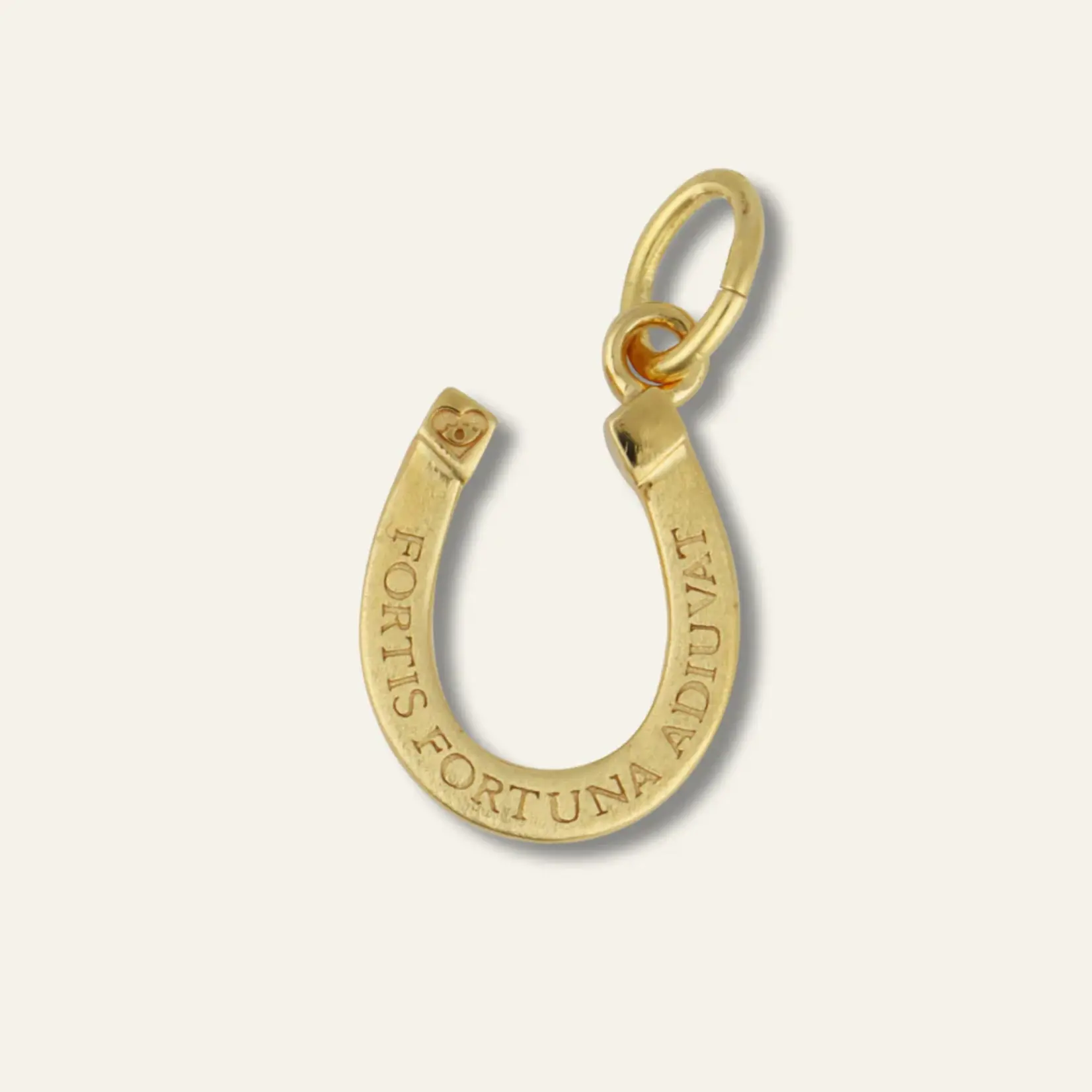 Hart The Dainty Necklace Small Fortuna Horseshoe Charm