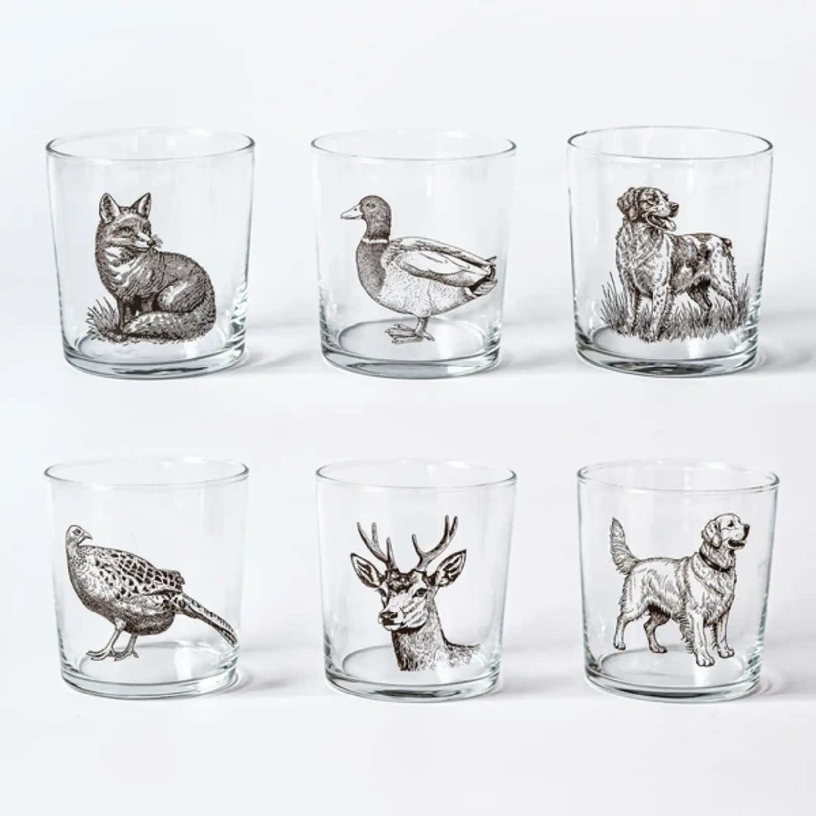 Vietri Wildlife Assorted Tumblers Set/6