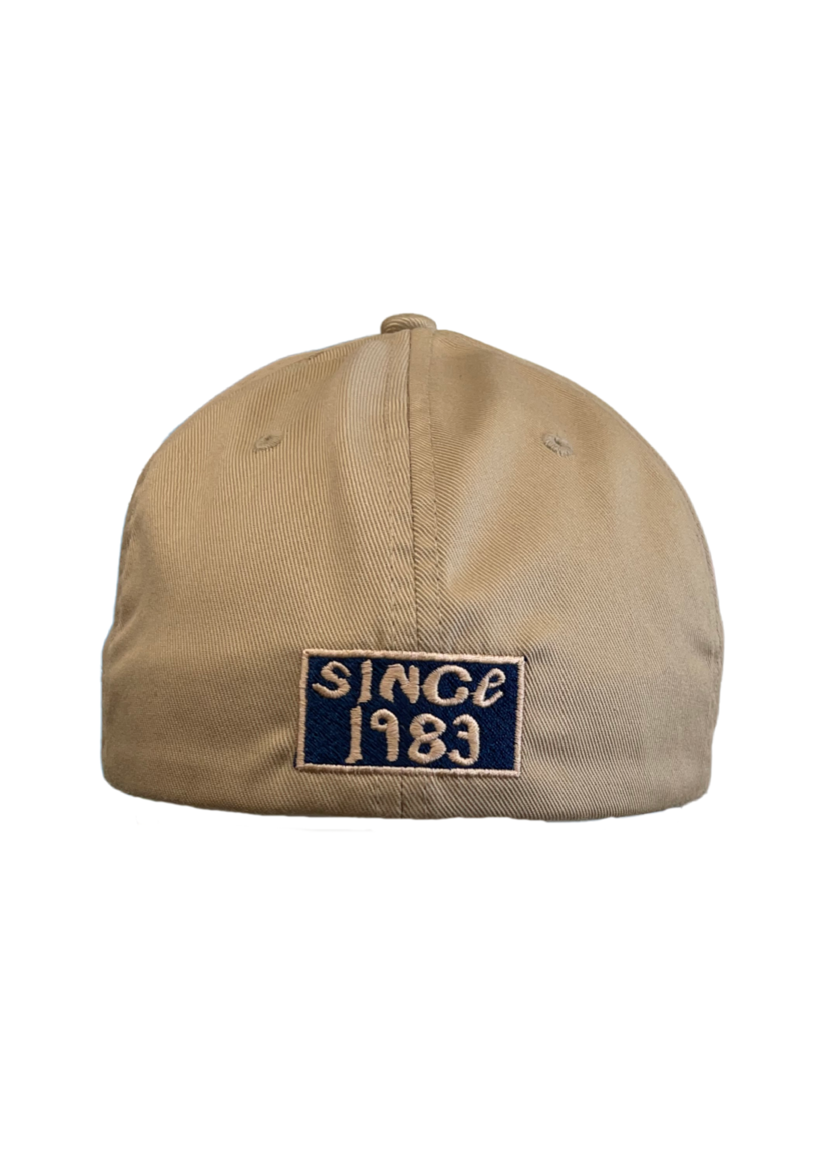 FLEX FIT HAT