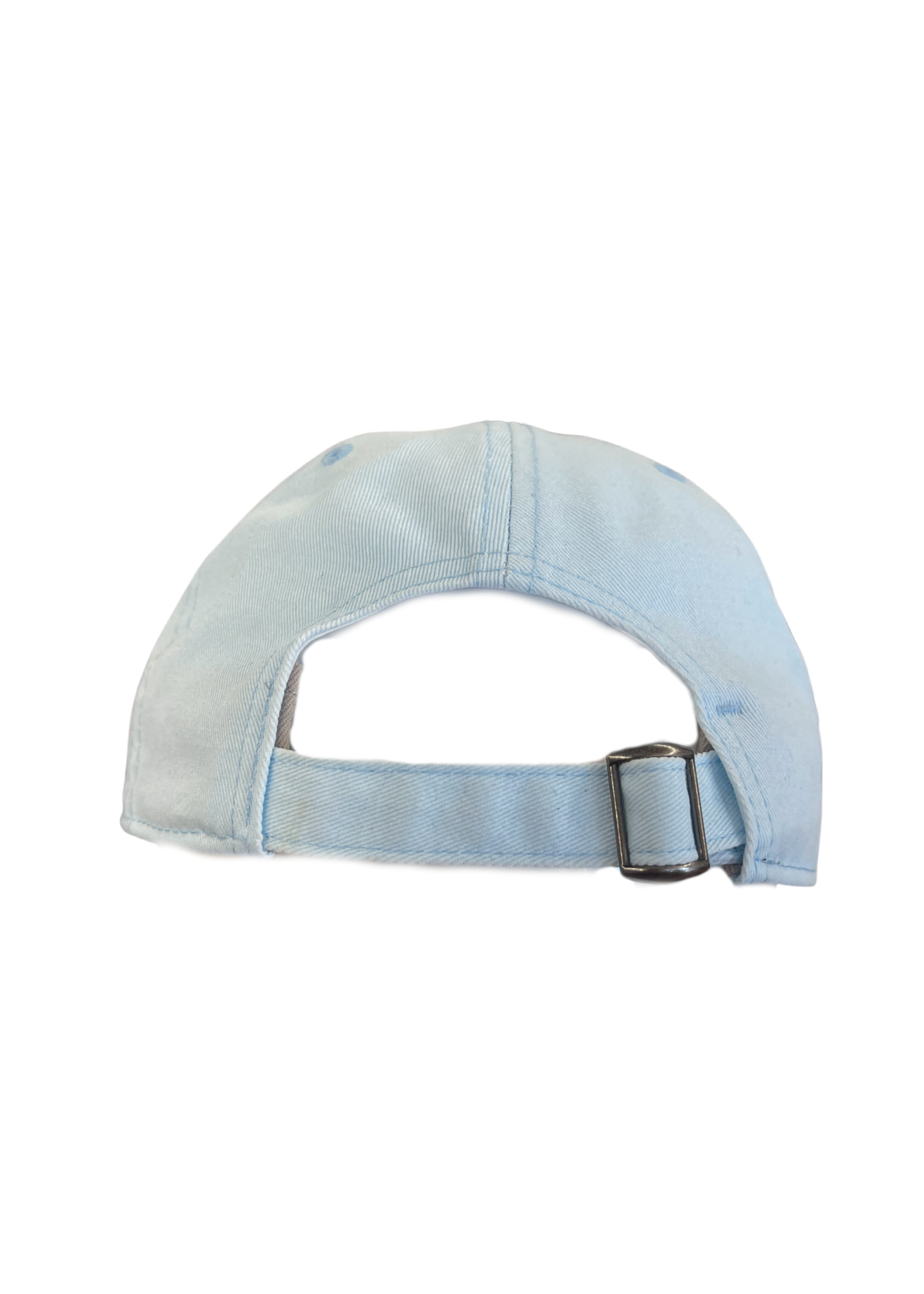 ADJUSTABLE CURVED BRIM HAT CAROLINA