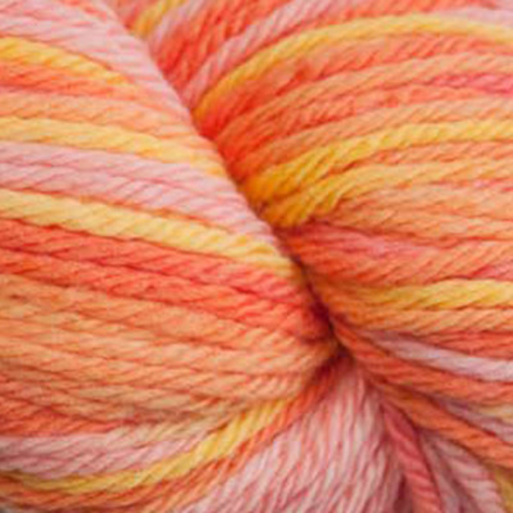 Cascade Yarns 220 Sport Multi